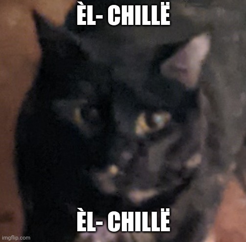 ÈL- CHILLË ÈL- CHILLË | made w/ Imgflip meme maker