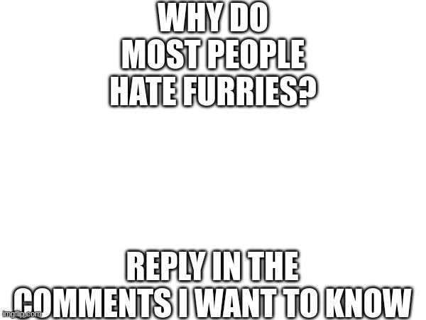 Why? | WHY DO MOST PEOPLE HATE FURRIES? PLEASE REPLY IN THE COMMENTS I WANT TO KNOW | made w/ Imgflip meme maker