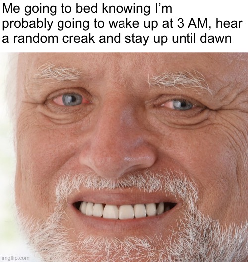 At least I have Imgflip… | Me going to bed knowing I’m probably going to wake up at 3 AM, hear a random creak and stay up until dawn | image tagged in hide the pain harold,why,3 am,sleep,relatable | made w/ Imgflip meme maker