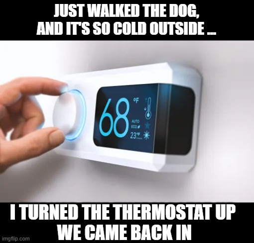 JUST WALKED THE DOG, AND IT'S SO COLD OUTSIDE ... I TURNED THE THERMOSTAT UP 
WE CAME BACK IN | image tagged in temperature,freezing cold | made w/ Imgflip meme maker