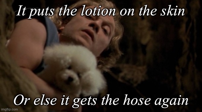 Silence of the lambs lotion | It puts the lotion on the skin Or else it gets the hose again | image tagged in silence of the lambs lotion | made w/ Imgflip meme maker