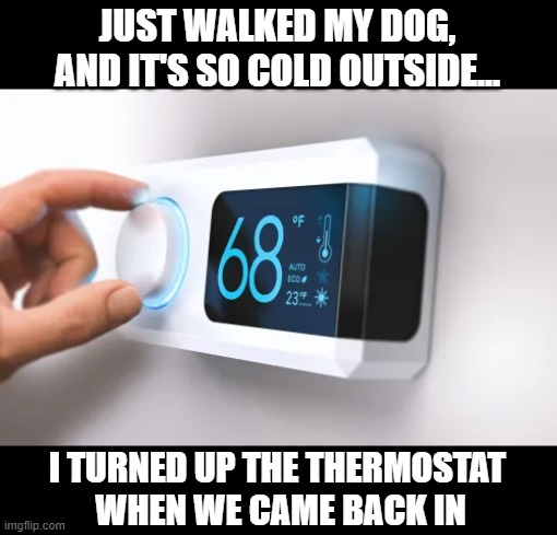 JUST WALKED MY DOG, AND IT'S SO COLD OUTSIDE... I TURNED UP THE THERMOSTAT 
WHEN WE CAME BACK IN | image tagged in cold weather | made w/ Imgflip meme maker