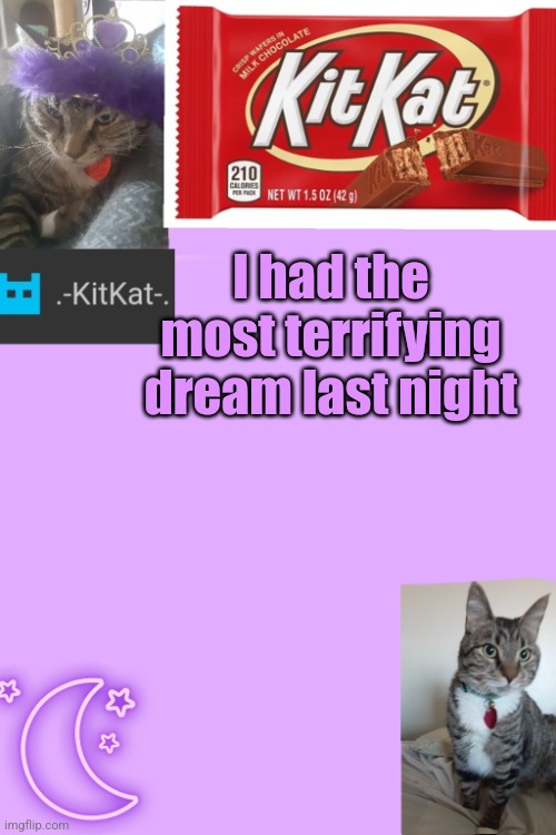Kittys announcement template kitkat addition | I had the most terrifying dream last night | image tagged in kittys announcement template kitkat addition | made w/ Imgflip meme maker
