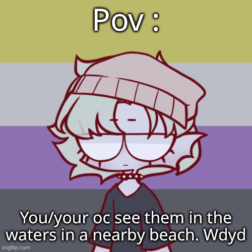 Any gender for romance!! No erp or joke. | Pov :; You/your oc see them in the waters in a nearby beach. Wdyd | made w/ Imgflip meme maker