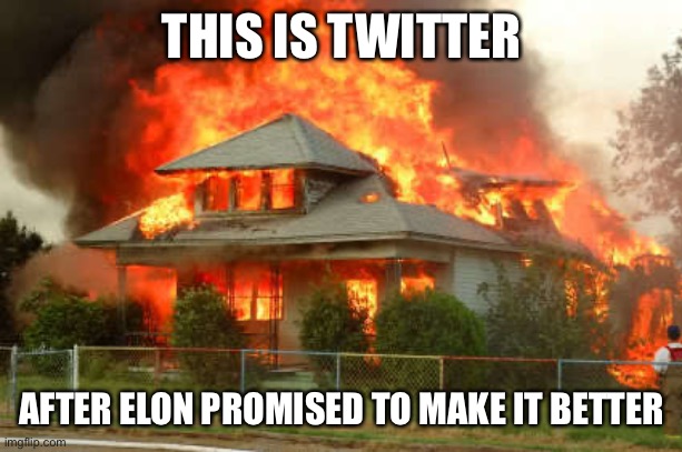 Look at how fast it burnt | THIS IS TWITTER; AFTER ELON PROMISED TO MAKE IT BETTER | image tagged in burnin' house,twitter,elon musk,well shit | made w/ Imgflip meme maker