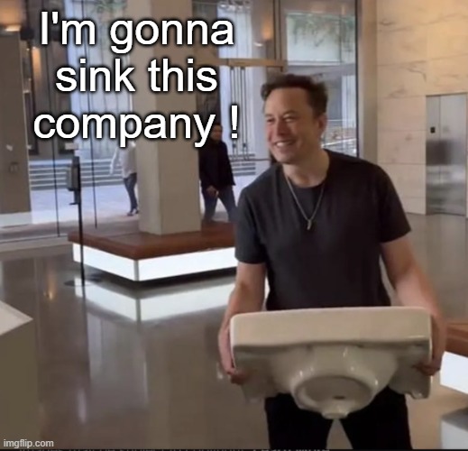 Elon Musk Sink |  I'm gonna sink this company ! | image tagged in elon musk sink,elon,twitter,company | made w/ Imgflip meme maker