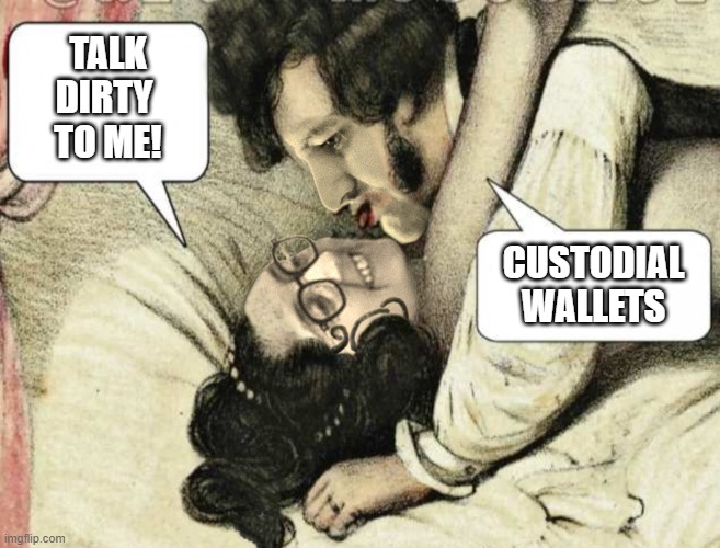 SBF and Caroline Cex Tap Leak | TALK
DIRTY 
TO ME! CUSTODIAL
WALLETS | image tagged in sbf and caroline cex tape | made w/ Imgflip meme maker