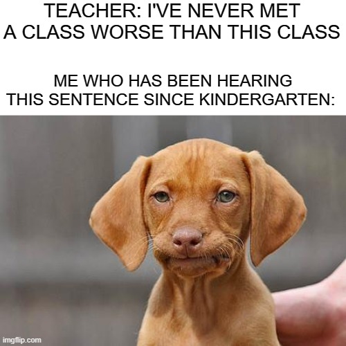 Dissapointed puppy | TEACHER: I'VE NEVER MET A CLASS WORSE THAN THIS CLASS; ME WHO HAS BEEN HEARING THIS SENTENCE SINCE KINDERGARTEN: | image tagged in dissapointed puppy | made w/ Imgflip meme maker