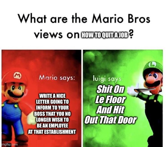 How to quit a job | HOW TO QUIT A JOB; Shit On Le Floor And Hit Out That Door; WRITE A NICE LETTER GOING TO INFORM TO YOUR BOSS THAT YOU NO LONGER WISH TO BE AN EMPLOYEE AT THAT ESTABLISHMENT | image tagged in mario bros views | made w/ Imgflip meme maker