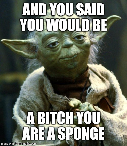 Star Wars Yoda | AND YOU SAID YOU WOULD BE; A BITCH YOU ARE A SPONGE | image tagged in memes,star wars yoda | made w/ Imgflip meme maker