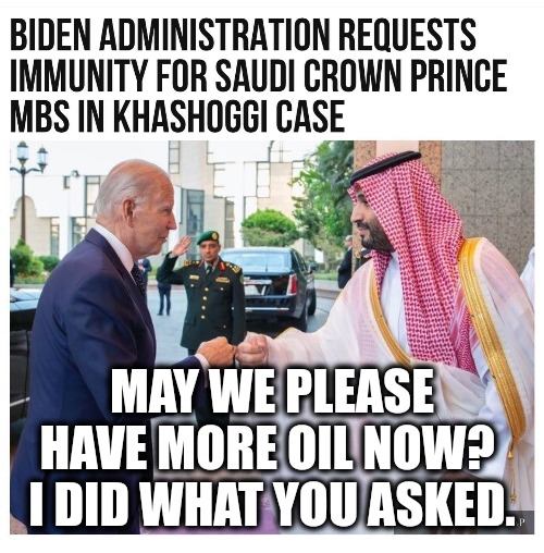 Biden is owned by OPEC | MAY WE PLEASE HAVE MORE OIL NOW?  I DID WHAT YOU ASKED. | image tagged in memes,politics,joe biden,saudi arabia,big oil,democrats | made w/ Imgflip meme maker