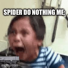 SPIDER DO NOTHING ME: | image tagged in gifs | made w/ Imgflip images-to-gif maker