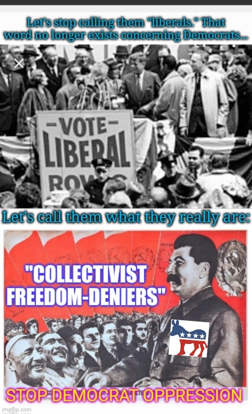 Freedom Deniers | image tagged in libtard,democratic socialism,idiots,you're fired | made w/ Imgflip meme maker