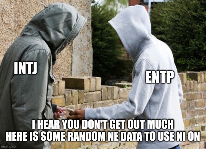 Abstract Drugs | INTJ; ENTP; I HEAR YOU DON'T GET OUT MUCH
HERE IS SOME RANDOM NE DATA TO USE NI ON | image tagged in meme dealer,intj,entp,personality,mbti,myers briggs | made w/ Imgflip meme maker