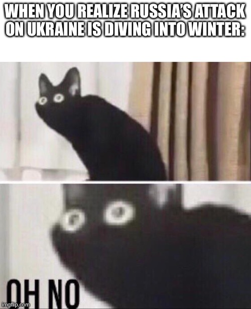 Uh oh | WHEN YOU REALIZE RUSSIA’S ATTACK ON UKRAINE IS DIVING INTO WINTER: | image tagged in oh no cat,russia,ukraine,winter,war,winter is coming | made w/ Imgflip meme maker