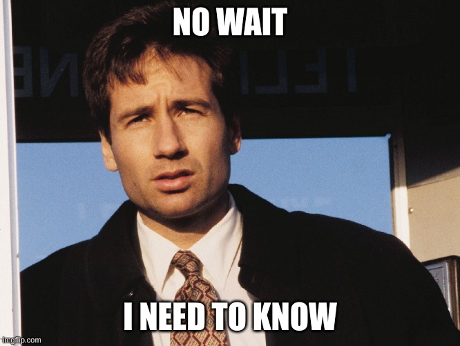 X Files | NO WAIT I NEED TO KNOW | image tagged in x files | made w/ Imgflip meme maker
