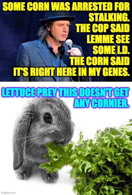 Garden variety criminals. | SOME CORN WAS ARRESTED FOR
STALKING.
THE COP SAID
LEMME SEE
SOME I.D.
THE CORN SAID
IT'S RIGHT HERE IN MY GENES. LETTUCE PREY THIS DOESN'T GET
ANY CORNIER. | image tagged in steven wright,memes,puns | made w/ Imgflip meme maker