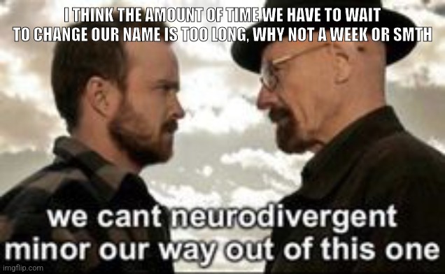 we cant neurodivergent minor our way out of this one | I THINK THE AMOUNT OF TIME WE HAVE TO WAIT TO CHANGE OUR NAME IS TOO LONG, WHY NOT A WEEK OR SMTH | image tagged in we cant neurodivergent minor our way out of this one | made w/ Imgflip meme maker