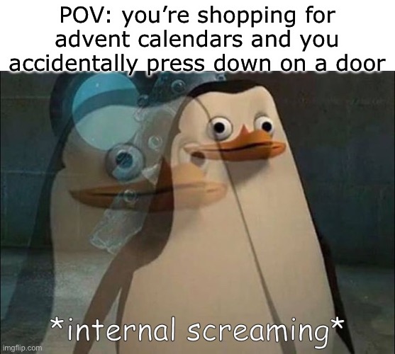 i just came back from shopping and this happened to me | POV: you’re shopping for advent calendars and you accidentally press down on a door | image tagged in private internal screaming | made w/ Imgflip meme maker
