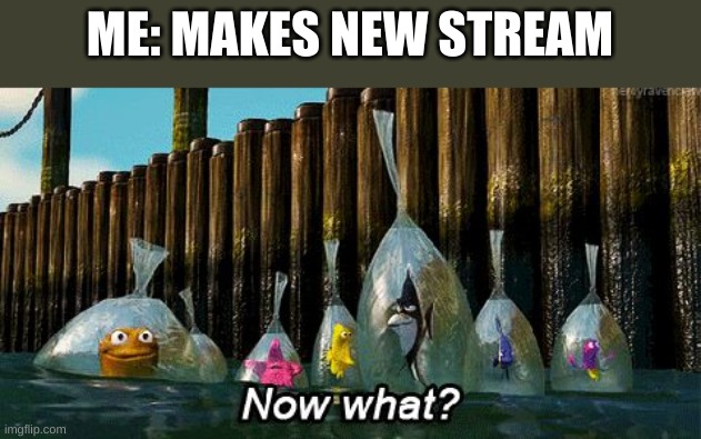 o8ingbvulhk | ME: MAKES NEW STREAM | image tagged in now what | made w/ Imgflip meme maker