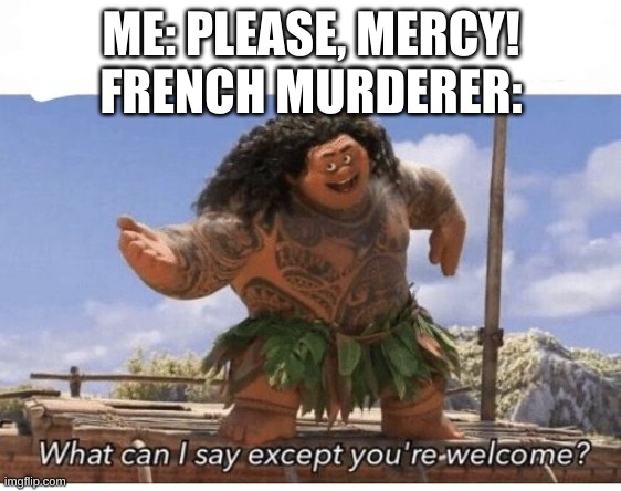 your welcome | ME: PLEASE, MERCY!
FRENCH MURDERER: | image tagged in what can i say except you're welcome | made w/ Imgflip meme maker