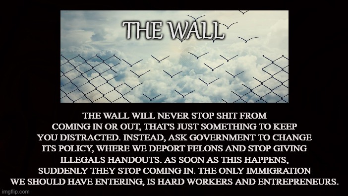 A WALL DESTROYS OUR AUTONOMY | THE WALL; THE WALL WILL NEVER STOP SHIT FROM COMING IN OR OUT, THAT'S JUST SOMETHING TO KEEP YOU DISTRACTED. INSTEAD, ASK GOVERNMENT TO CHANGE ITS POLICY, WHERE WE DEPORT FELONS AND STOP GIVING ILLEGALS HANDOUTS. AS SOON AS THIS HAPPENS, SUDDENLY THEY STOP COMING IN. THE ONLY IMMIGRATION WE SHOULD HAVE ENTERING, IS HARD WORKERS AND ENTREPRENEURS. | image tagged in wall,immigration,illegals,border,deportation,handouts | made w/ Imgflip meme maker
