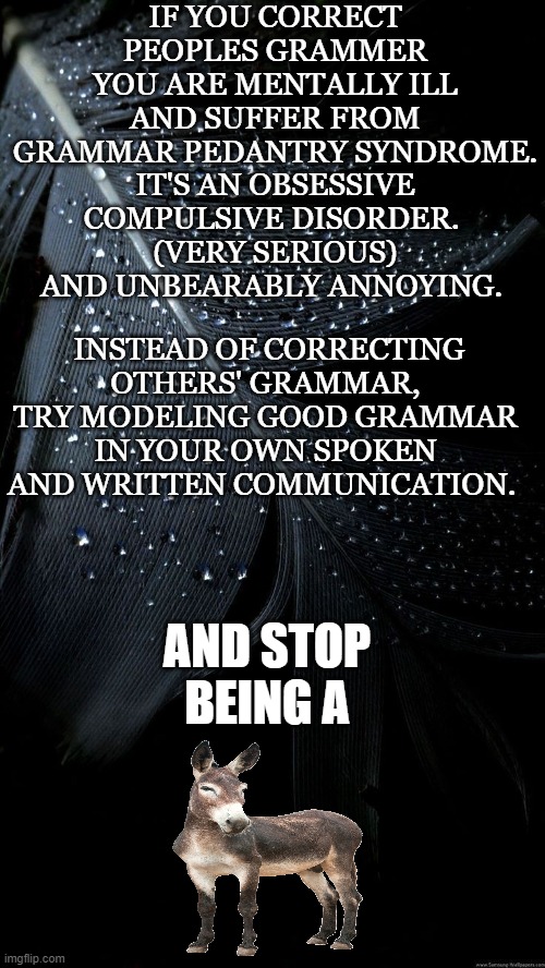 Stop it and get help | IF YOU CORRECT PEOPLES GRAMMER YOU ARE MENTALLY ILL AND SUFFER FROM GRAMMAR PEDANTRY SYNDROME. IT'S AN OBSESSIVE COMPULSIVE DISORDER. 
(VERY SERIOUS) AND UNBEARABLY ANNOYING. INSTEAD OF CORRECTING OTHERS' GRAMMAR, TRY MODELING GOOD GRAMMAR IN YOUR OWN SPOKEN AND WRITTEN COMMUNICATION. AND STOP BEING A | image tagged in grammar nazi,mentally ill,get a life,be ashamed | made w/ Imgflip meme maker