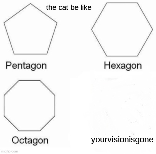 Pentagon Hexagon Octagon Meme | yourvisionisgone the cat be like | image tagged in memes,pentagon hexagon octagon | made w/ Imgflip meme maker