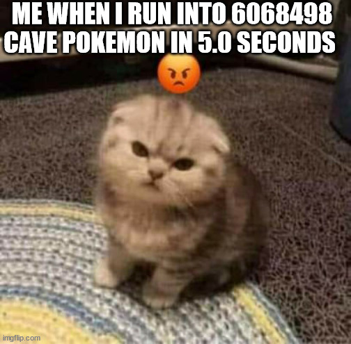 they are annoying af and i want them to die | ME WHEN I RUN INTO 6068498 CAVE POKEMON IN 5.0 SECONDS | image tagged in angy cat | made w/ Imgflip meme maker