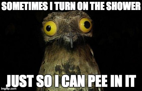 Weird Stuff I Do Potoo | SOMETIMES I TURN ON THE SHOWER JUST SO I CAN PEE IN IT | image tagged in memes,weird stuff i do potoo | made w/ Imgflip meme maker