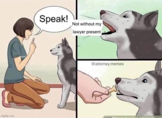 image tagged in dogs | made w/ Imgflip meme maker