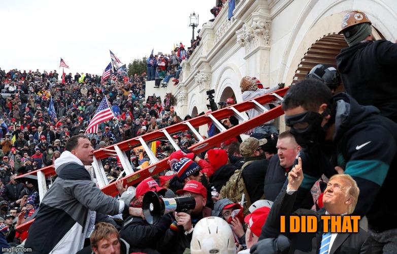 Qanon - Insurrection - Trump riot - sedition | I DID THAT | image tagged in qanon - insurrection - trump riot - sedition | made w/ Imgflip meme maker