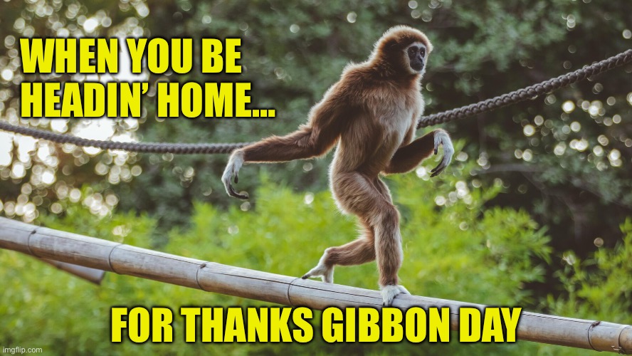 Happy Thanksgiving | WHEN YOU BE 
HEADIN’ HOME…; FOR THANKS GIBBON DAY | image tagged in thanks,gibbon,travel,home,thanksgiving | made w/ Imgflip meme maker