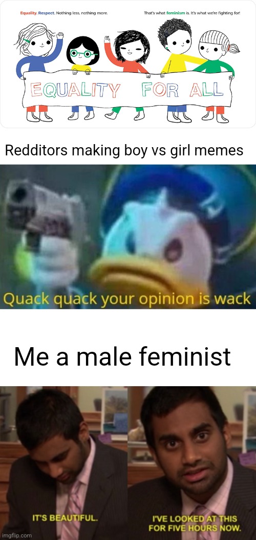 I have officially became a feminist | Redditors making boy vs girl memes; Me a male feminist | image tagged in quack quack your opinion is wack,i've looked at this for 5 hours now,feminist,no,boys vs girls,memes | made w/ Imgflip meme maker