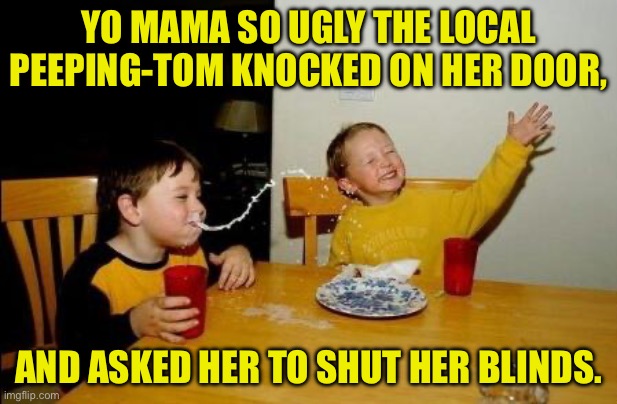 Yo Mama | YO MAMA SO UGLY THE LOCAL PEEPING-TOM KNOCKED ON HER DOOR, AND ASKED HER TO SHUT HER BLINDS. | image tagged in yo momma so fat | made w/ Imgflip meme maker