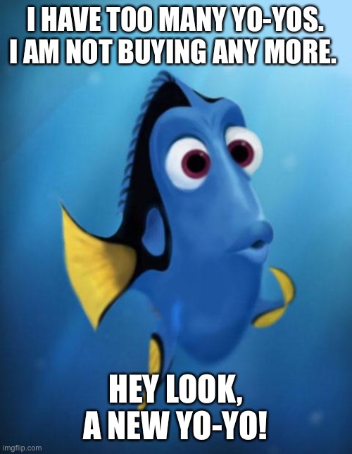Dory | I HAVE TOO MANY YO-YOS. I AM NOT BUYING ANY MORE. HEY LOOK, A NEW YO-YO! | image tagged in dory | made w/ Imgflip meme maker