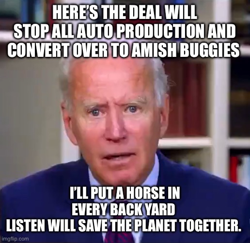 Slow Joe Biden Dementia Face | HERE’S THE DEAL WILL STOP ALL AUTO PRODUCTION AND CONVERT OVER TO AMISH BUGGIES; I’LL PUT A HORSE IN EVERY BACK YARD 
LISTEN WILL SAVE THE PLANET TOGETHER. | image tagged in slow joe biden dementia face | made w/ Imgflip meme maker