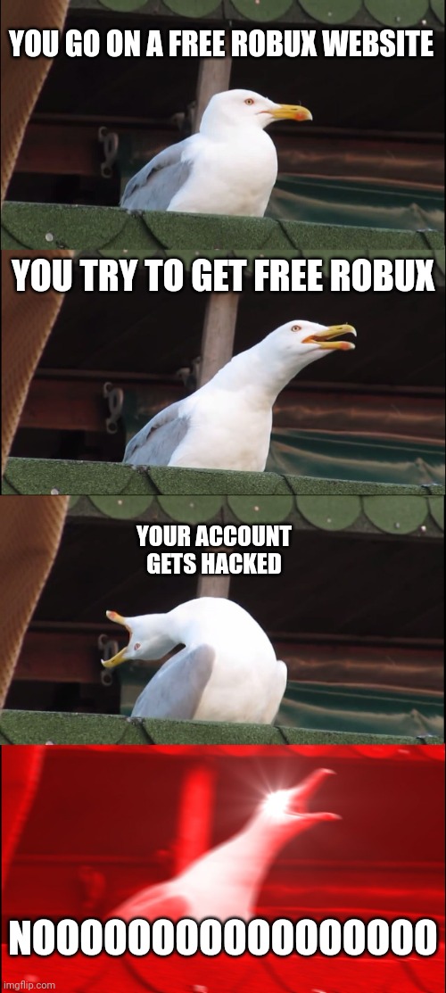 Inhaling Seagull | YOU GO ON A FREE ROBUX WEBSITE; YOU TRY TO GET FREE ROBUX; YOUR ACCOUNT GETS HACKED; NOOOOOOOOOOOOOOOOO | image tagged in memes,inhaling seagull | made w/ Imgflip meme maker