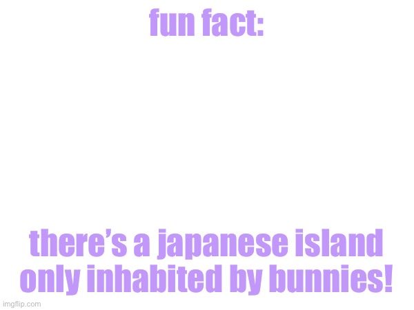 anybody know how to get to japan? | fun fact:; there’s a japanese island only inhabited by bunnies! | made w/ Imgflip meme maker