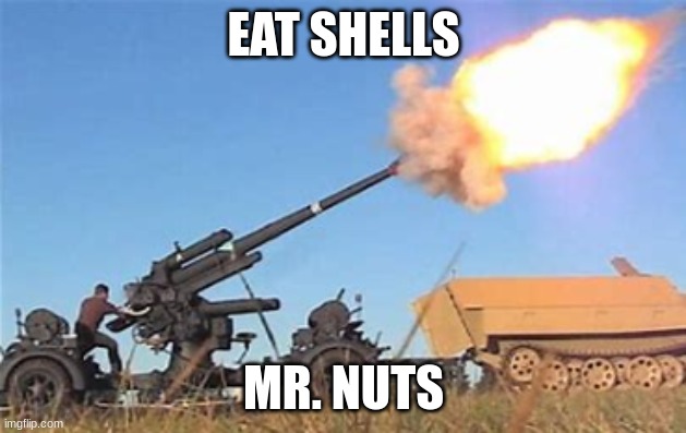 Flak gun | EAT SHELLS MR. NUTS | image tagged in flak gun | made w/ Imgflip meme maker