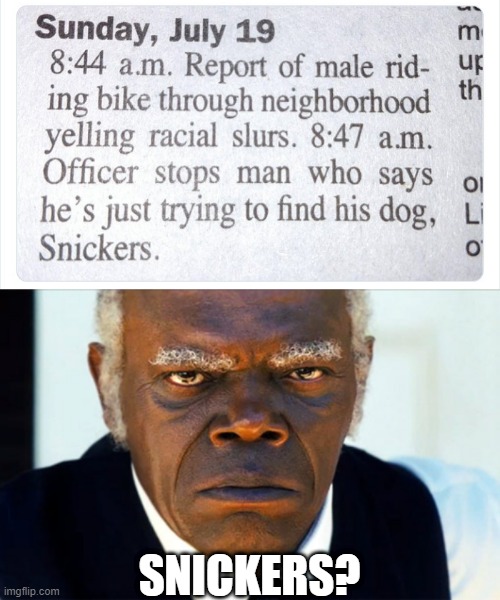 Missing Dog Imgflip