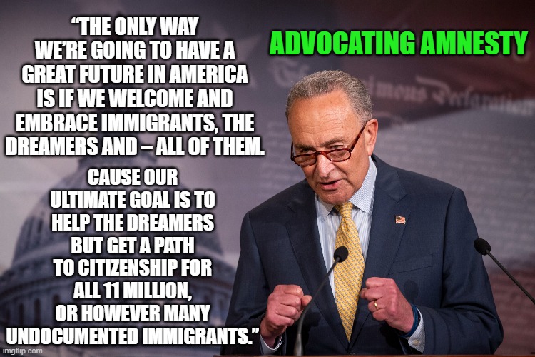 Advocating Amnesty | ADVOCATING AMNESTY; “THE ONLY WAY WE’RE GOING TO HAVE A GREAT FUTURE IN AMERICA IS IF WE WELCOME AND EMBRACE IMMIGRANTS, THE DREAMERS AND – ALL OF THEM. CAUSE OUR ULTIMATE GOAL IS TO HELP THE DREAMERS BUT GET A PATH TO CITIZENSHIP FOR ALL 11 MILLION, OR HOWEVER MANY UNDOCUMENTED IMMIGRANTS.” | image tagged in chuck schumer,immigration | made w/ Imgflip meme maker
