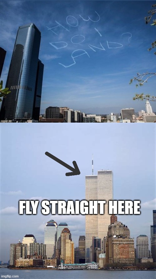OH NO | FLY STRAIGHT HERE | image tagged in meme,lol | made w/ Imgflip meme maker