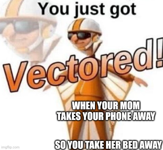 You just got vectored | WHEN YOUR MOM TAKES YOUR PHONE AWAY; SO YOU TAKE HER BED AWAY | image tagged in you just got vectored | made w/ Imgflip meme maker