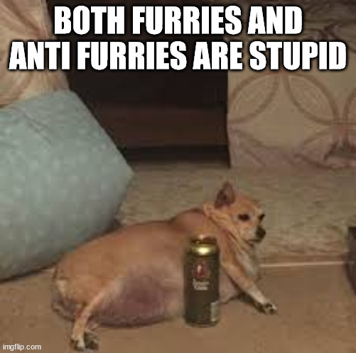 Lazy dog | BOTH FURRIES AND ANTI FURRIES ARE STUPID | image tagged in lazy dog | made w/ Imgflip meme maker