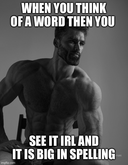 Giga Chad | WHEN YOU THINK OF A WORD THEN YOU; SEE IT IRL AND IT IS BIG IN SPELLING | image tagged in giga chad | made w/ Imgflip meme maker