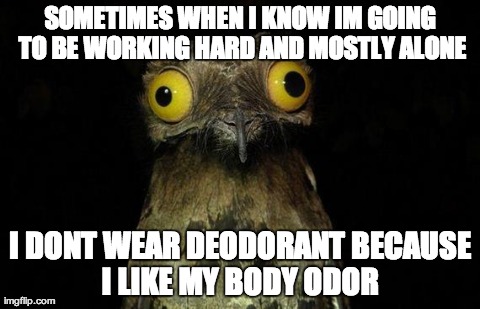 Weird Stuff I Do Potoo Meme | SOMETIMES WHEN I KNOW IM GOING TO BE WORKING HARD AND MOSTLY ALONE I DONT WEAR DEODORANT BECAUSE I LIKE MY BODY ODOR | image tagged in memes,weird stuff i do potoo,AdviceAnimals | made w/ Imgflip meme maker