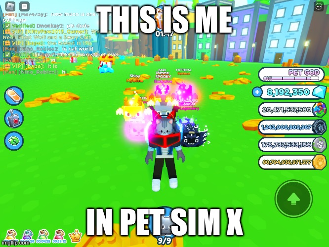 This is me | THIS IS ME; IN PET SIM X | image tagged in me irl,gaming,roblox | made w/ Imgflip meme maker