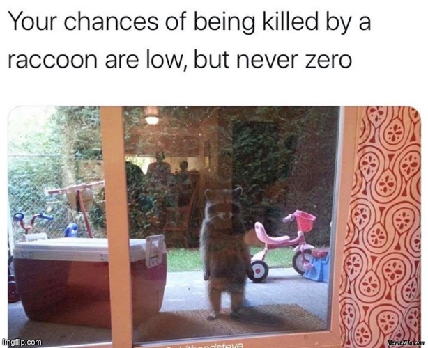 you are never safe | image tagged in evil plotting raccoon | made w/ Imgflip meme maker