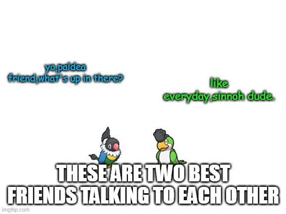 Squawkabilly and Chatot | yo,paldea friend,what's up in there? like everyday,sinnoh dude. THESE ARE TWO BEST FRIENDS TALKING TO EACH OTHER | image tagged in blank white template,pokemon,pokemon meme,scralet and violet,parrot | made w/ Imgflip meme maker